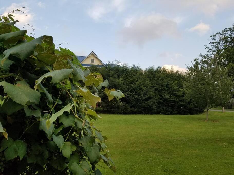 Basecampwv-Durbin. Spacious 4 Bedroom House W/Yard 外观 照片